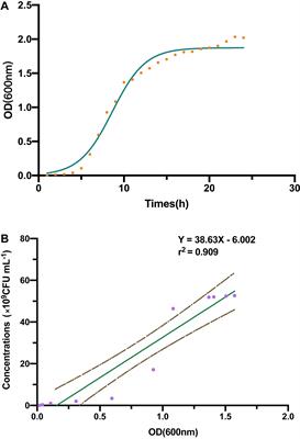 Analysis of the Antifungal Properties of Bacillus velezensis B-4 Through a Bioassay and Complete-Genome Sequencing